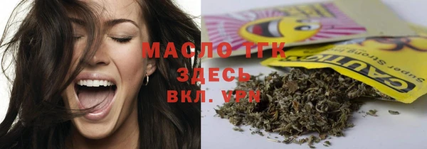 Альфа ПВП Горняк