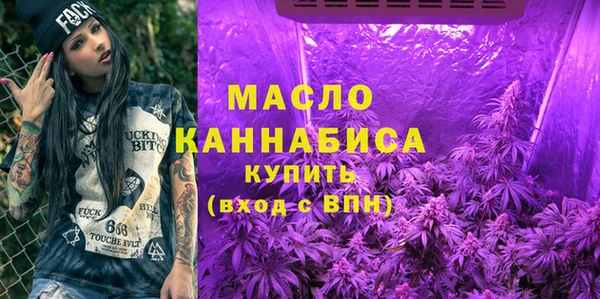 Альфа ПВП Горняк
