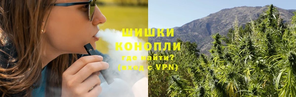 Альфа ПВП Горняк