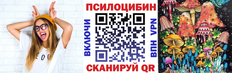 Псилоцибиновые грибы Cubensis  сколько стоит  Юрга 